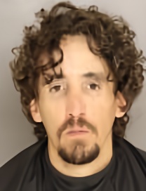 Mugshot of TYLER DREW LOCKLEAR
