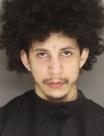 Mugshot of MICHAEL GREGORY JR FLOWERS