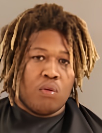 Mugshot of STEVEN JR MEEKS