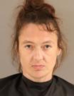 Mugshot of WANDA GAIL MILLER