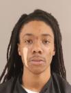 Mugshot of COMMON LEONTAIE LAND NELSON