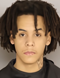 Mugshot of DAMION WALTER WILSON