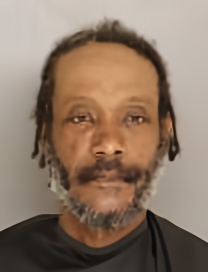 Mugshot of LONNIE PRIOLEAU