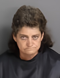 Mugshot of LINDA CHISM BEVIS