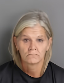 Mugshot of LORI ANNE DEAL