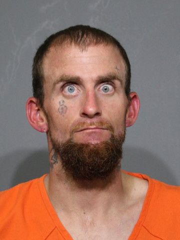 Mugshot of Hamilton,
