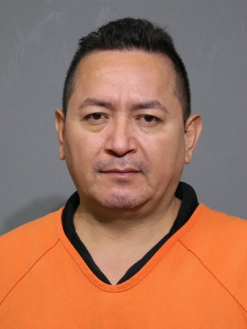 Mugshot of Lomeli Carreon,