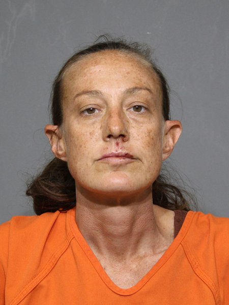 Mugshot of Jami Jean North
