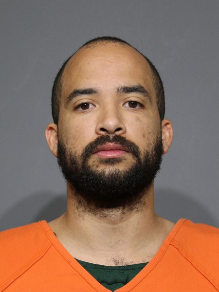 Mugshot of Hitson,