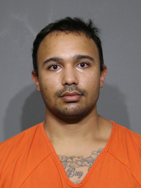 Mugshot of Lingerfelt,