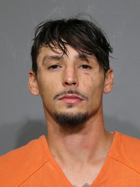 Mugshot of Poirier,