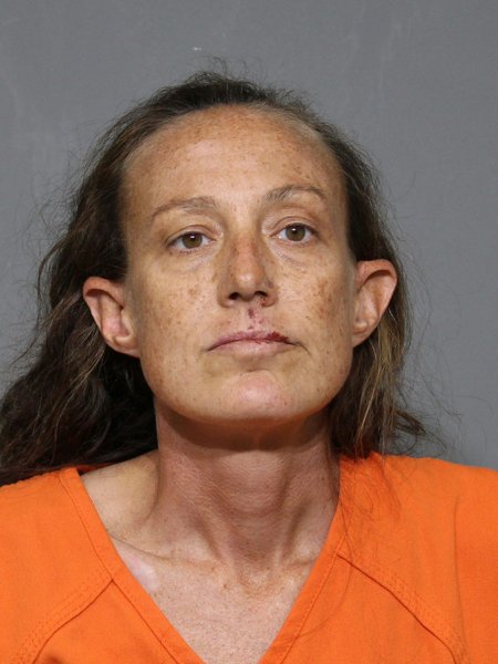 Mugshot of Jami Jean North