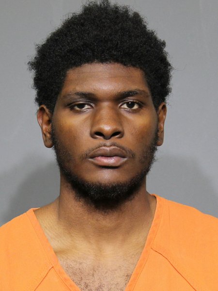 Mugshot of Johnson,