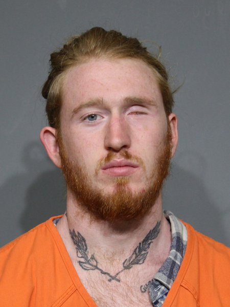 Mugshot of Williamson,