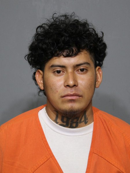 Mugshot of Canales,