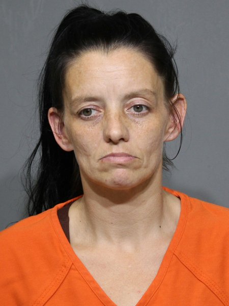 Mugshot of Polk,
