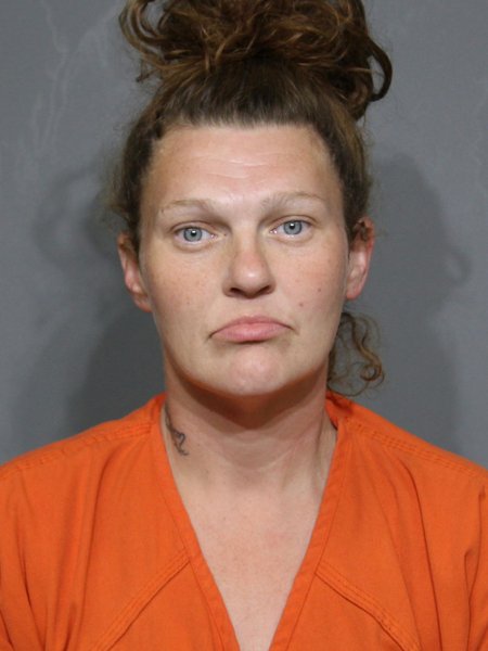 Mugshot of Adkins,