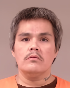 Mugshot of Vincent Lee Williams