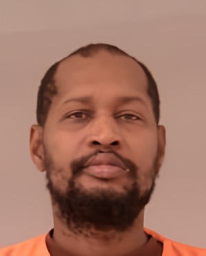 Mugshot of Wayne Patrick Woodworth