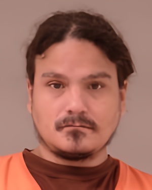 Mugshot of Donald Steven Turner