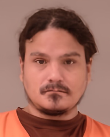 Mugshot of Donald Steven Turner