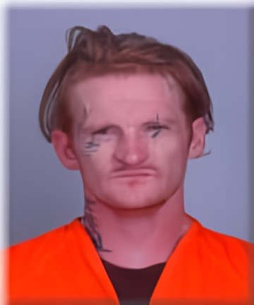 Mugshot of Donovan Egilsson