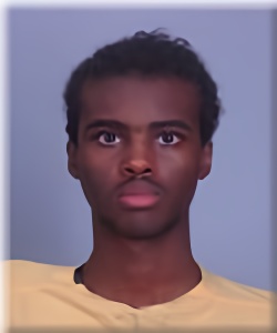 Mugshot of Sheikhdoon Mohamud