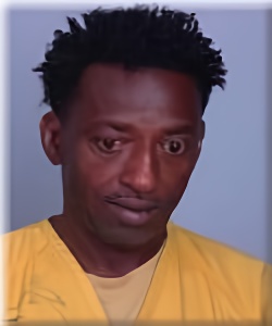 Mugshot of Abdullahi Omar