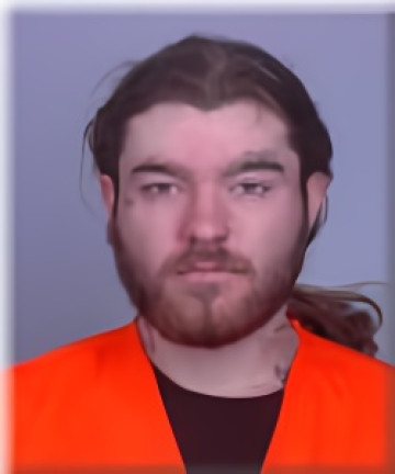 Mugshot of Logan Weaver