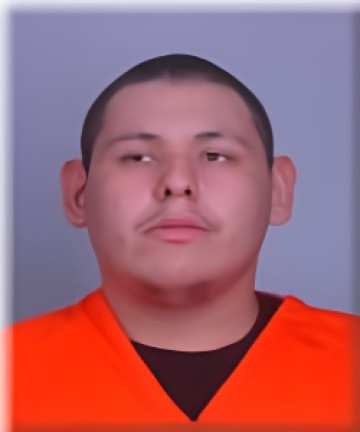 Mugshot of James Cobenias