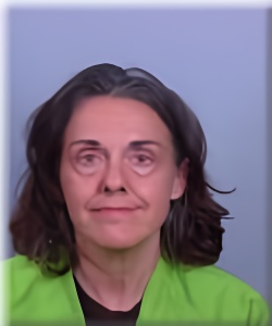 Mugshot of Michelle Schmidt