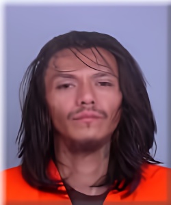 Mugshot of Tristan Roy