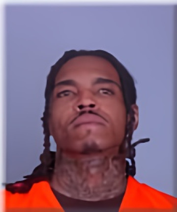 Mugshot of Sandy Hopkins