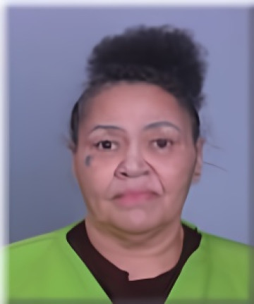 Mugshot of Theresa Kantorski