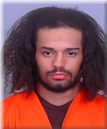 Mugshot of Gabriel Bell-Wood