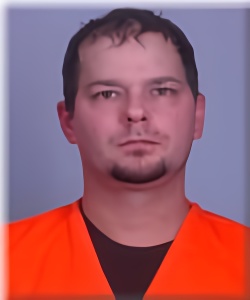 Mugshot of Shawn Swanson