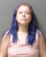 Mugshot of Wanda Lee Vela