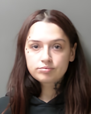 Mugshot of Taya Christine Schlichting