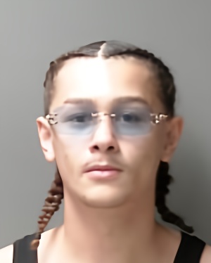 Mugshot of Noah Riley Herrington