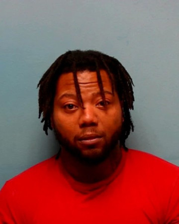 Mugshot of DA LANTE PALMER