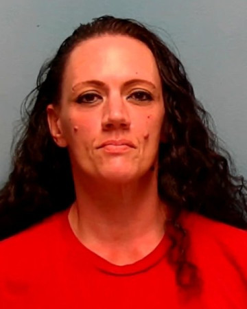 Mugshot of SHANNON BISHIR