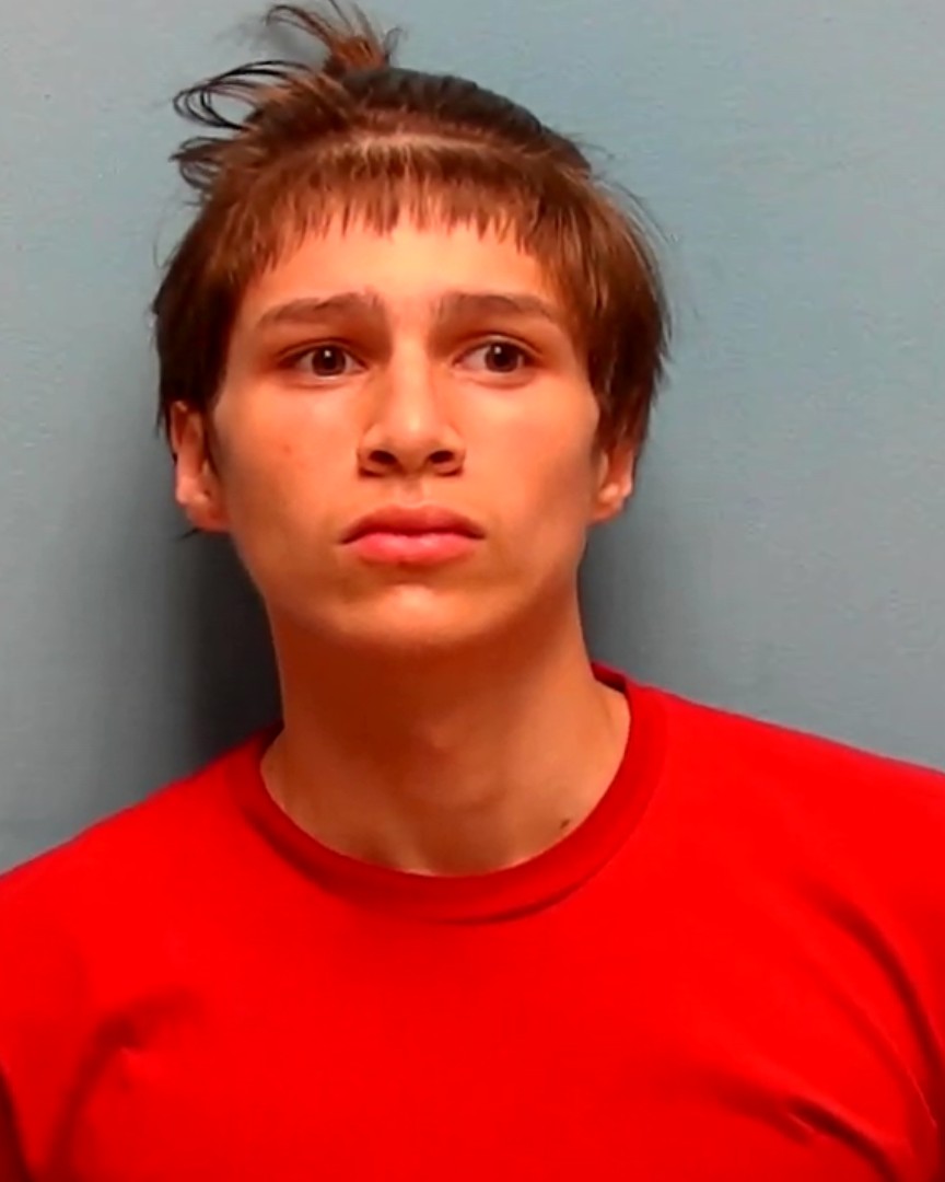 Mugshot of ANTHONY JOHNSON