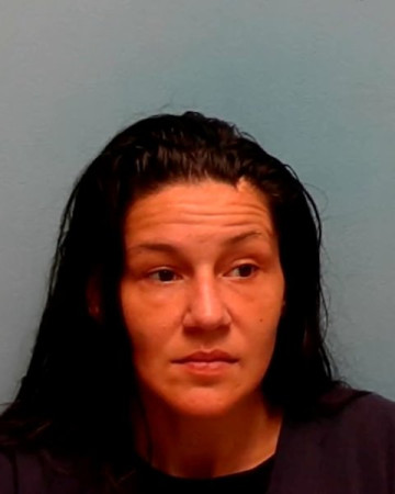 Mugshot of NICOLE SCHMIDT