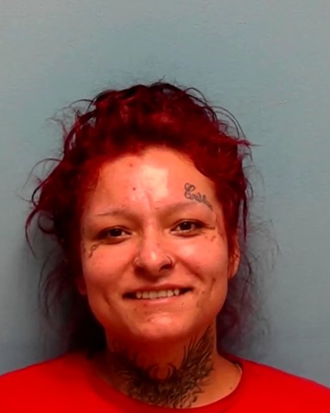 Mugshot of SELEINA GAMEZ