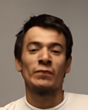 Mugshot of Jason Lee Fineday