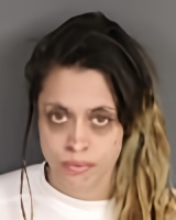 Mugshot of Kari Ann Moss