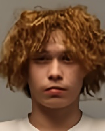 Mugshot of Daeshawn Houle