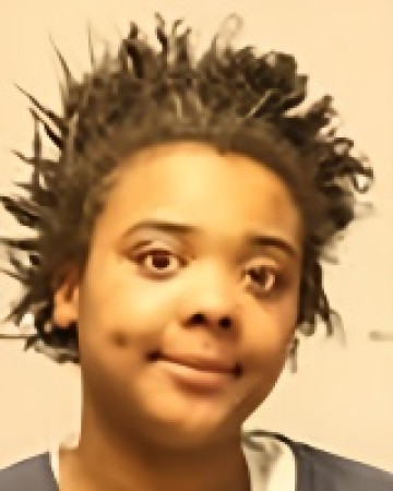 Mugshot of Jordan Louise Loggins