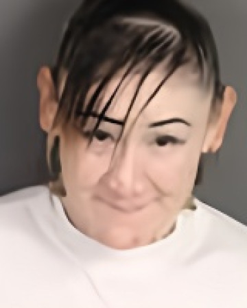 Mugshot of Theresa Leigh Beaulieu