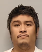 Mugshot of Ryne Joseph Vitug